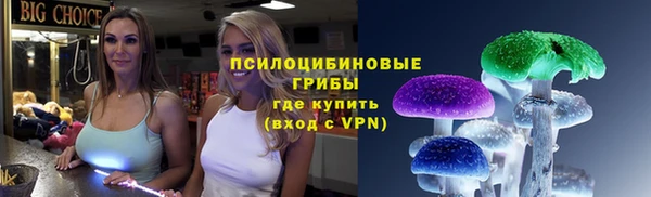спиды Верея
